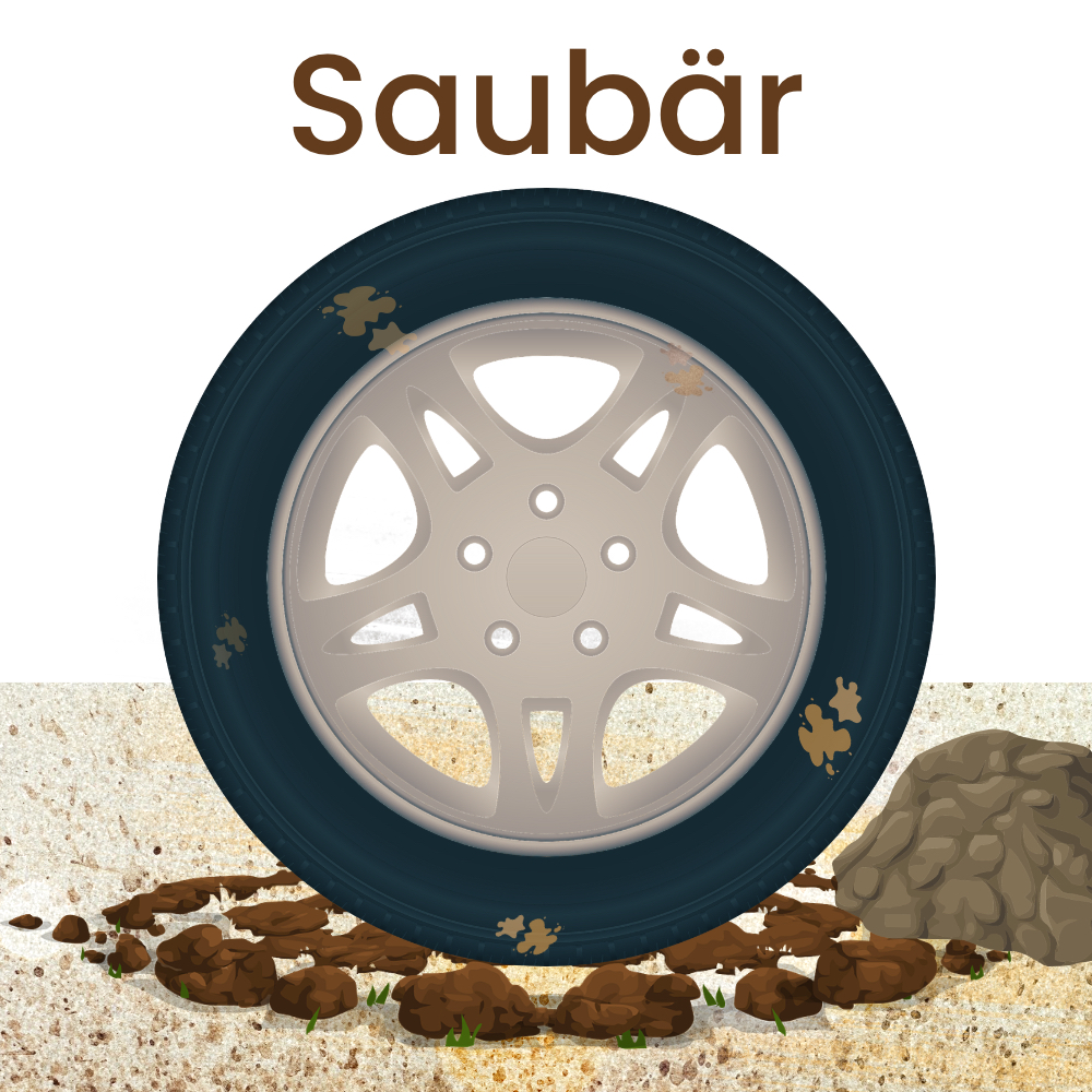 LKW Reifenwaschanlage kaufen